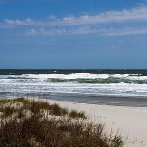 Meet your Posher, Glenda